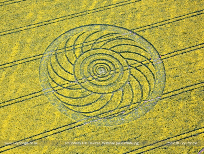 https://cropcircles.lucypringle.co.uk/photos/2009/uk2009af4.jpg